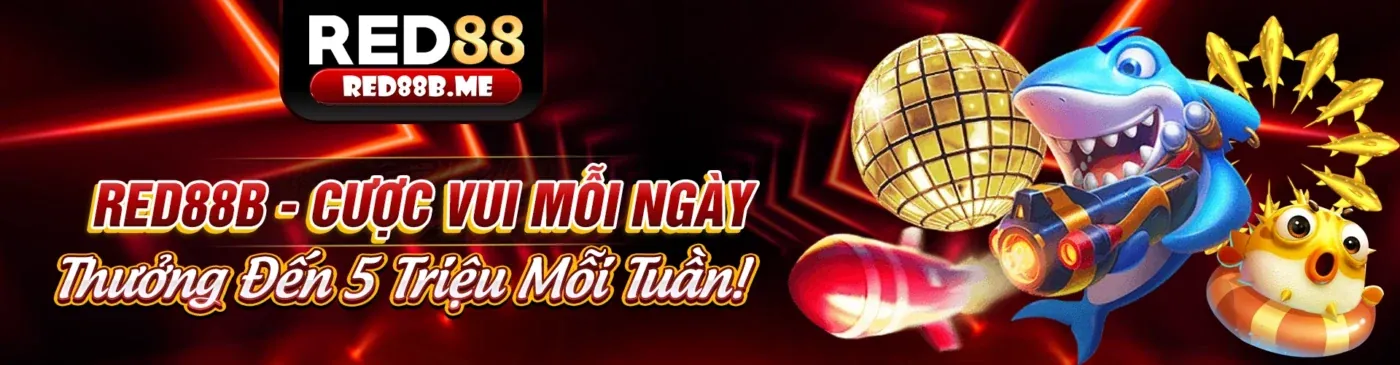 Hình ảnh đại diện Điều khoản dịch vụ qibet link mới